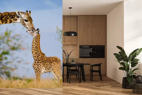 Visualisatie van het product