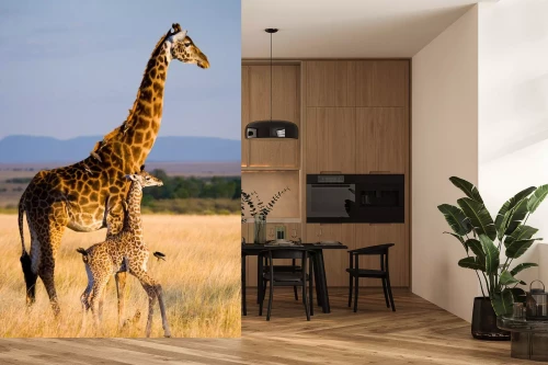 Visualisatie van het product