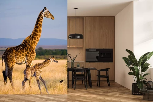 Visualisatie van het product