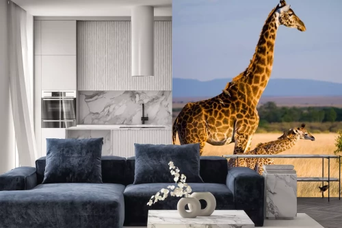 Visualisatie van het product