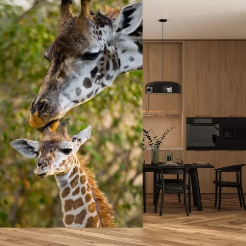 Sticker Vrouwelijke giraf met een baby in de savanne. Kenia. Tanzania. Oost Afrika. Een uitstekende illustratie.