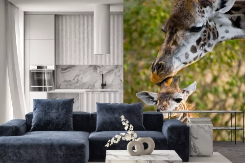 Visualisatie van het product