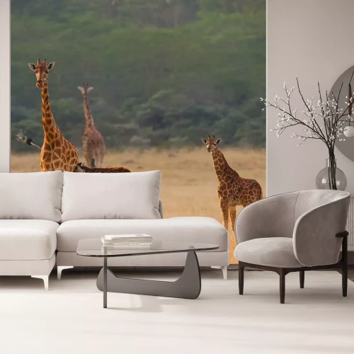 Sticker Vrouwelijke giraf met een baby in de savanne. Kenia. Tanzania. Oost Afrika. Een uitstekende illustratie.