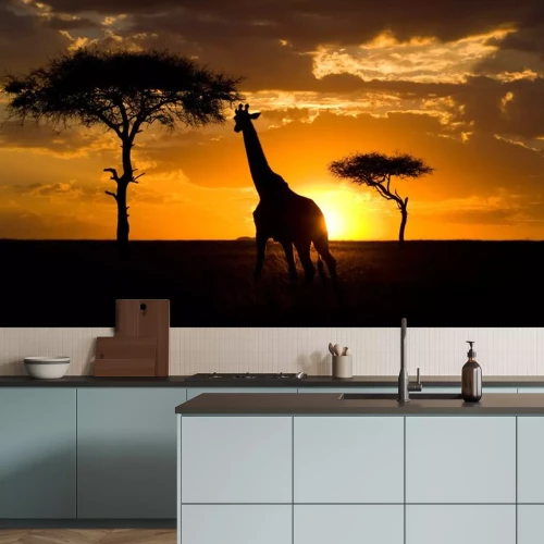Sticker Giraffe bij zonsondergang in de savanne. Kenia. Tanzania. Oost Afrika. Een uitstekende illustratie.