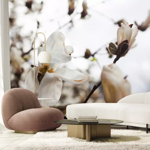 Sticker Magnolia's tegen de heldere lucht