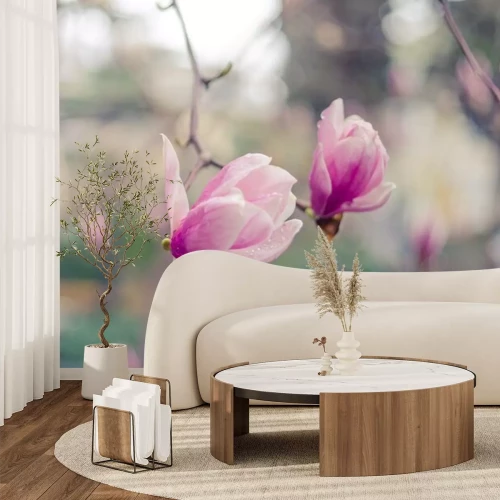 Sticker Magnolia's op een onscherpe achtergrond