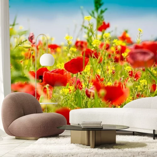 Fotobehang Klaprozen en mosterd