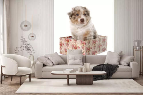 Visualisatie van het product