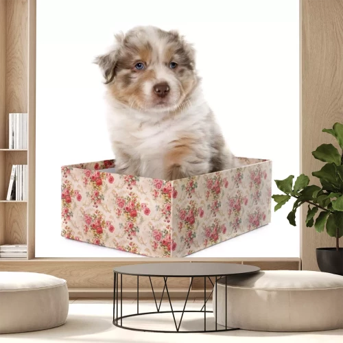 Sticker puppy Australische herder