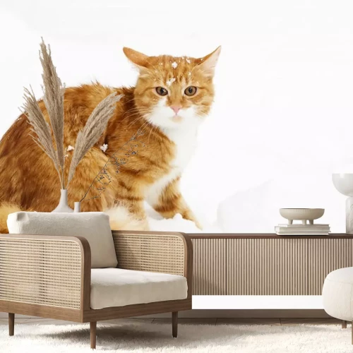 Sticker Katten pluizige gemberkat met sneeuw op zijn hoofd