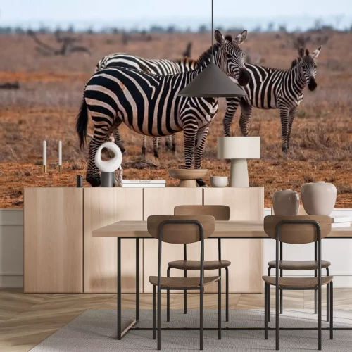 Sticker Zebras, Tsavo East National Park