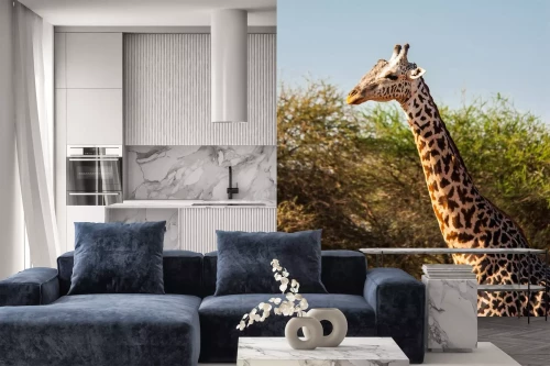 Visualisatie van het product