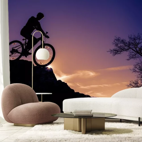 Sticker kayalıktan bisikletle INIS