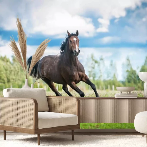 Sticker Bruine paarden rennen de open plek op