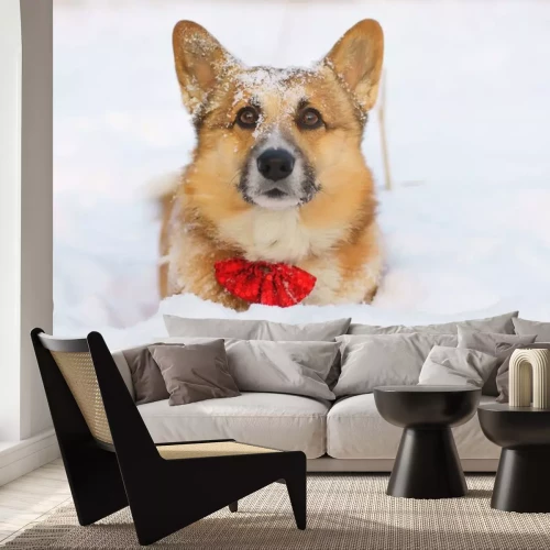 Sticker Welsh Corgi Pembroke hond verblijft in de sneeuw