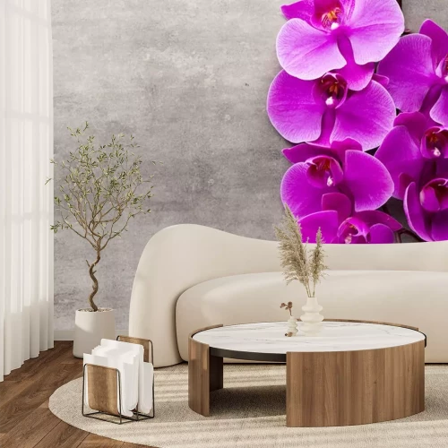 Sticker Orchidee op een betonnen achtergrond