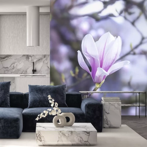 Sticker Foto van een enkele magnolia