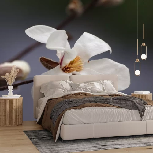 Sticker Magnolia in volle bloei