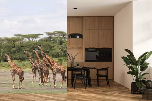 Visualisatie van het product