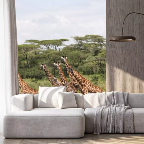 Sticker Giraffe Africane