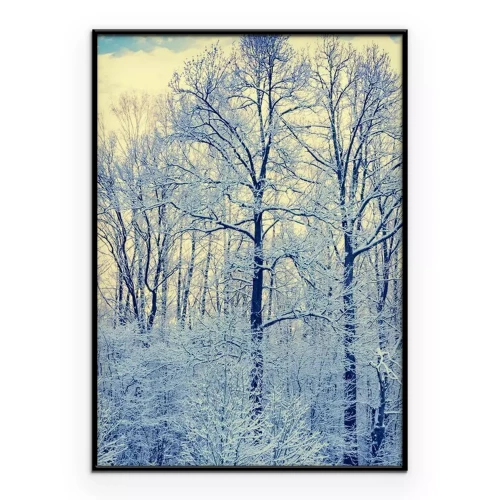 Poster Bomen bedekt met een dun laagje rijp.