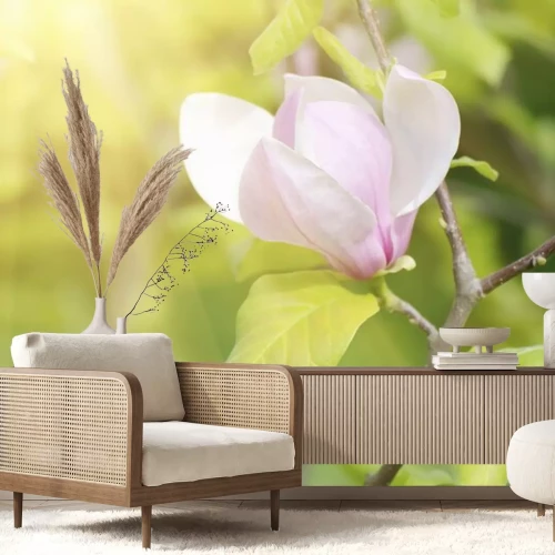 Sticker Heldere magnolia in de stralen
