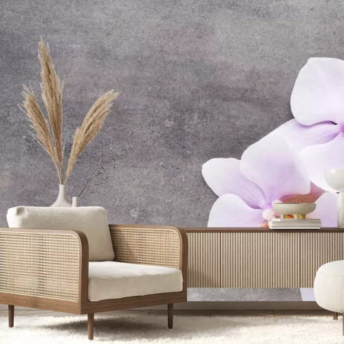 Sticker Witte orchidee die op beton ligt