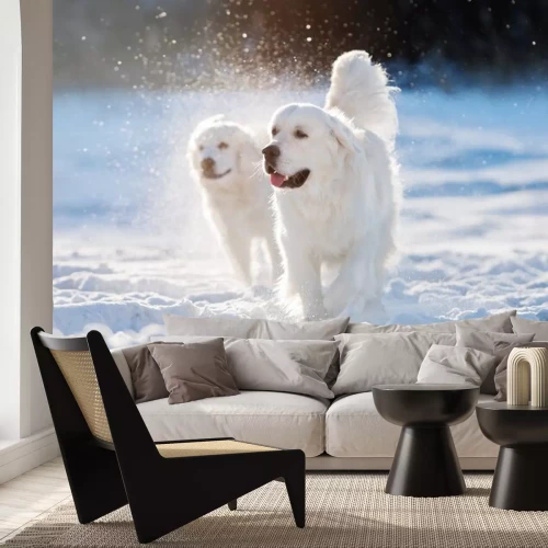 Sticker golden retriever hond wandelen in de sneeuw