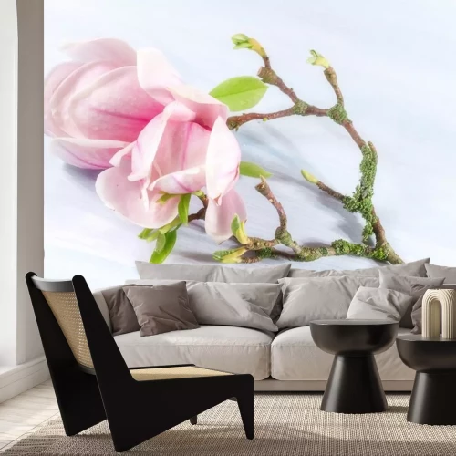 Sticker Magnolia's op een gebroken takje