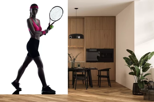 Visualisatie van het product