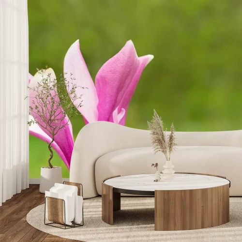 Sticker Een magnolia op een groene achtergrond