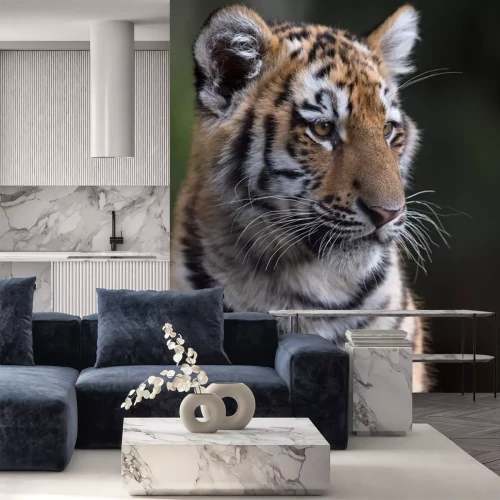 Sticker Siberische tijger met witte vlekken rond de ogen