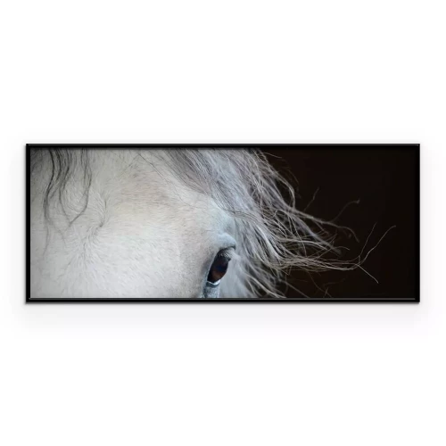 Poster Close-up van een paardenoog