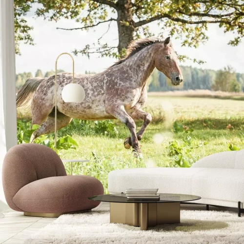 Fotobehang Appaloosa paard dat op het veld in de zomer