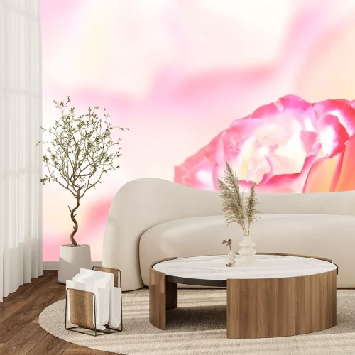 Sticker Roos met witte en roze bloemblaadjes