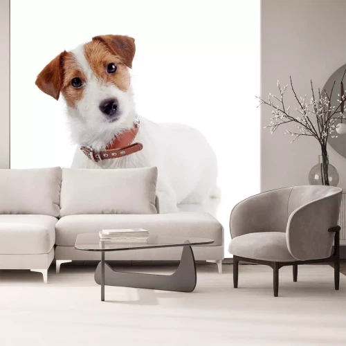 Sticker Het kleine hondje van het ras een Jack Russell Terrier