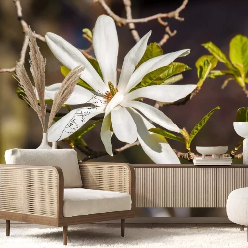 Sticker Wit bloeiende magnolia