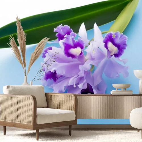 Sticker Een orchidee met gegolfde bloemblaadjes