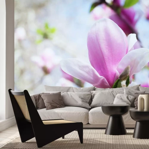 Sticker Magnolia op de achtergrond van takken