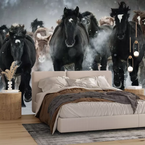 Sticker Paarden in een snelle galop op een winterdag