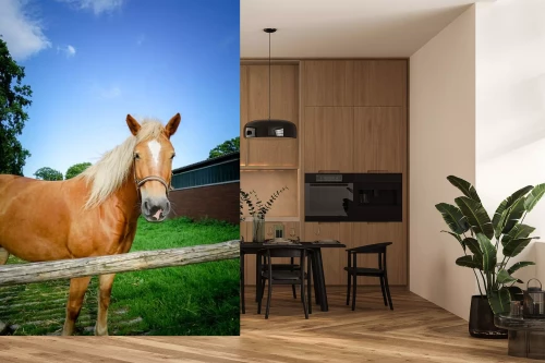 Visualisatie van het product