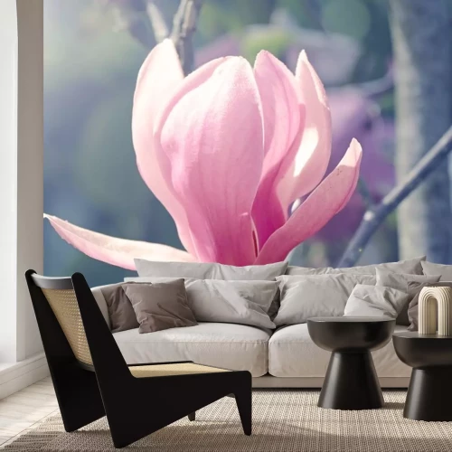 Sticker Magnoliaknop in de zon