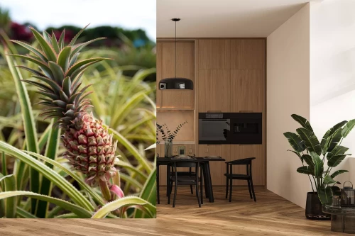 Visualisatie van het product