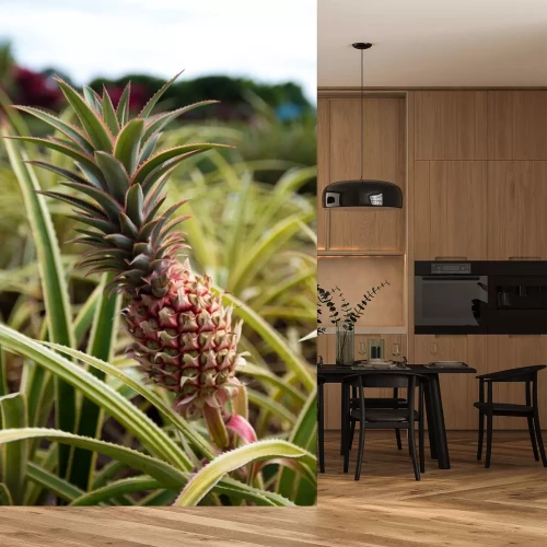 Sticker Exotische ananas groeit in de natuur