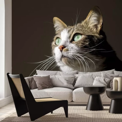 Sticker Kattenportret van een kat met smaragdgroene ogen