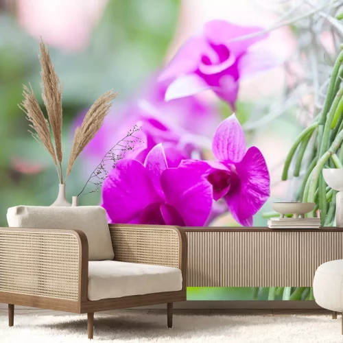 Sticker Roze orchidee op een onscherpe achtergrond