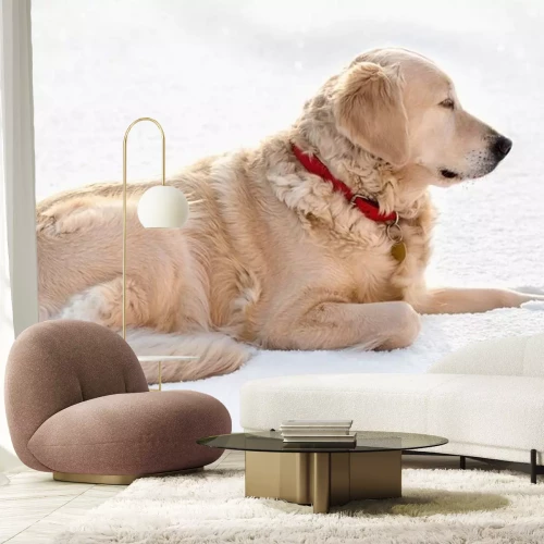 Sticker Golden Retriever