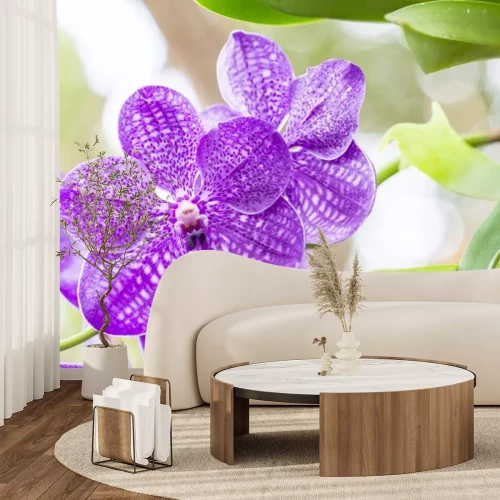 Sticker Paarse orchidee tussen de bladeren
