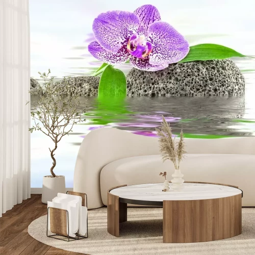 Sticker Orchidee tussen de stenen op het water
