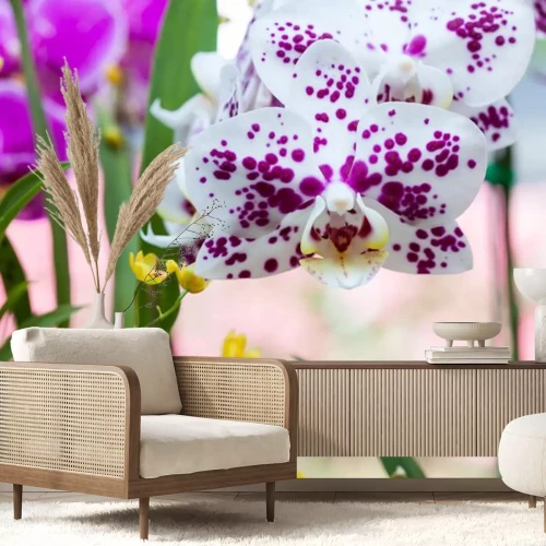 Sticker Witte orchidee met paarse stippen